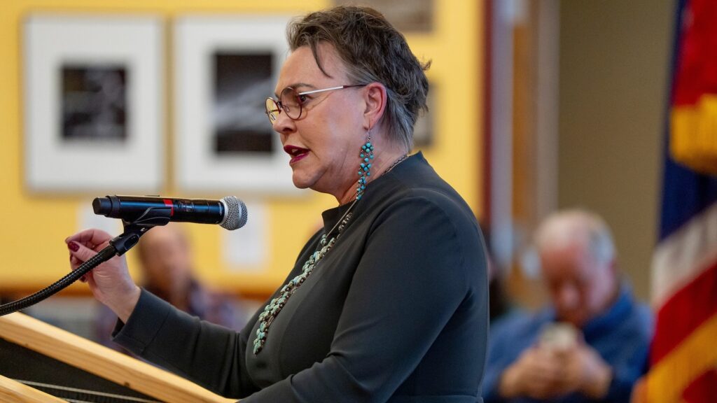 Wyoming Rep. Harriet Hageman grilled at town hall about DOGE: ‘Where is this fraud?’
