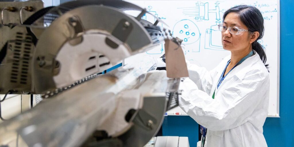 STEM Immigration’s Impact on U.S. Workforce Diversity