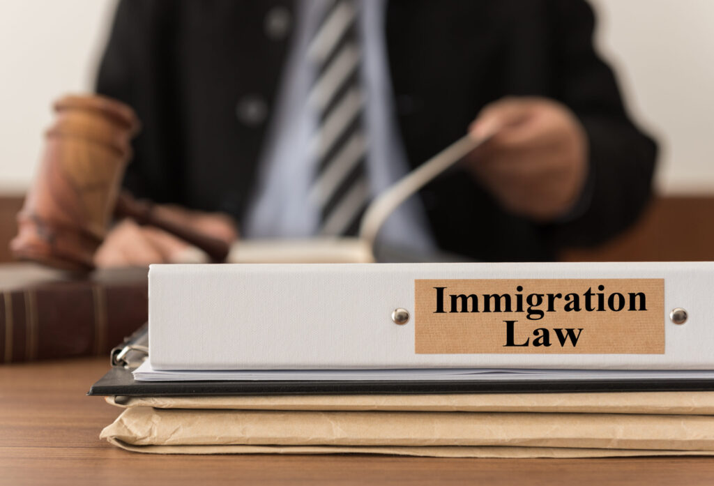 The Rule of Law: A Visit to Immigration Court