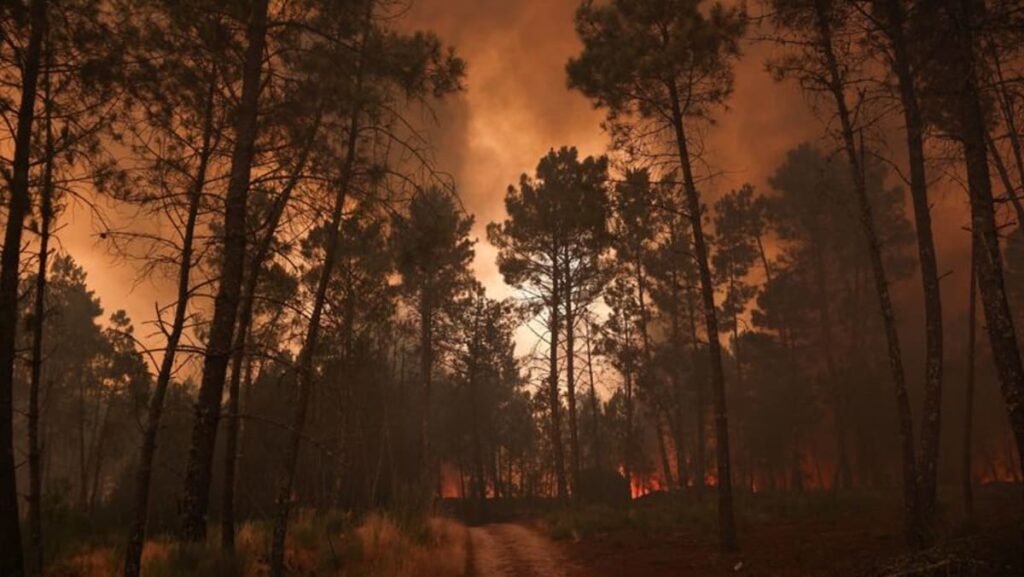 Portugal wildfires claim first victim, as Spain on wildfire alert