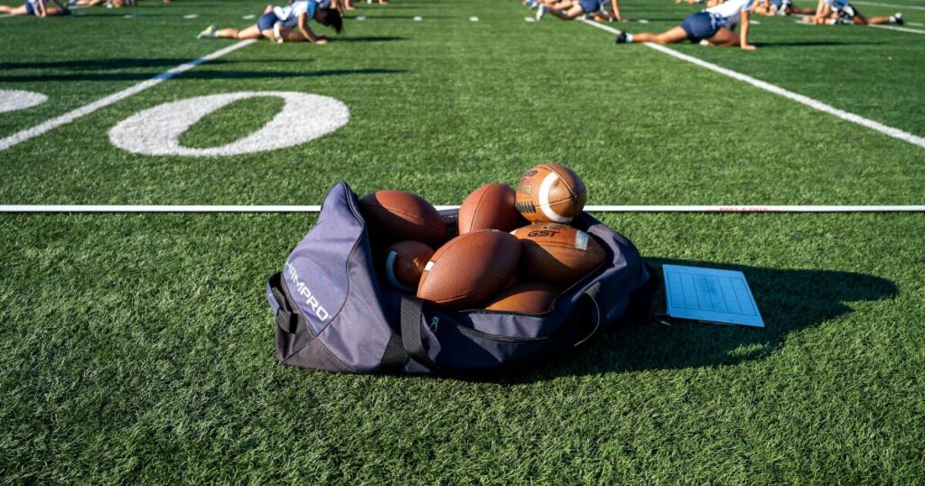 Bamboo could be a sustainable solution to artificial turf woes