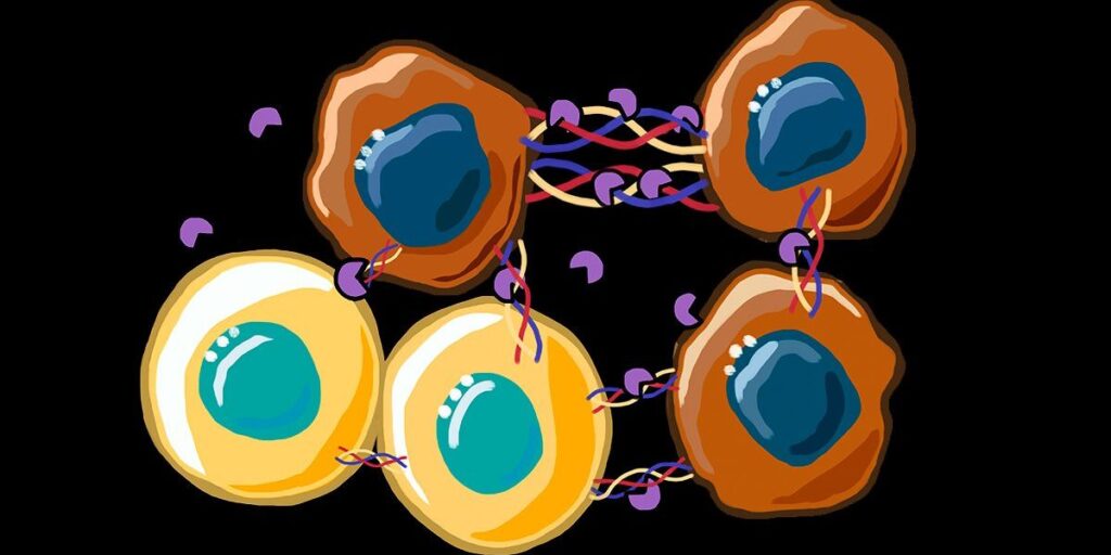 Hypersonic Levitation Spinning Speeds Cell Isolation