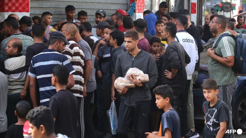 Food parcels delivered to 1 million Gazans since ceasefire: UN
