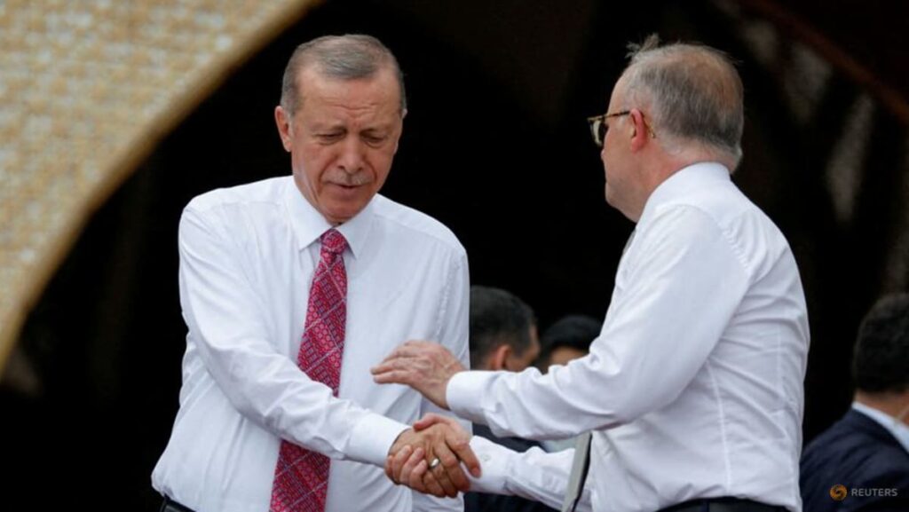 Türkiye seeks to host next COP as co-presidency plans falter