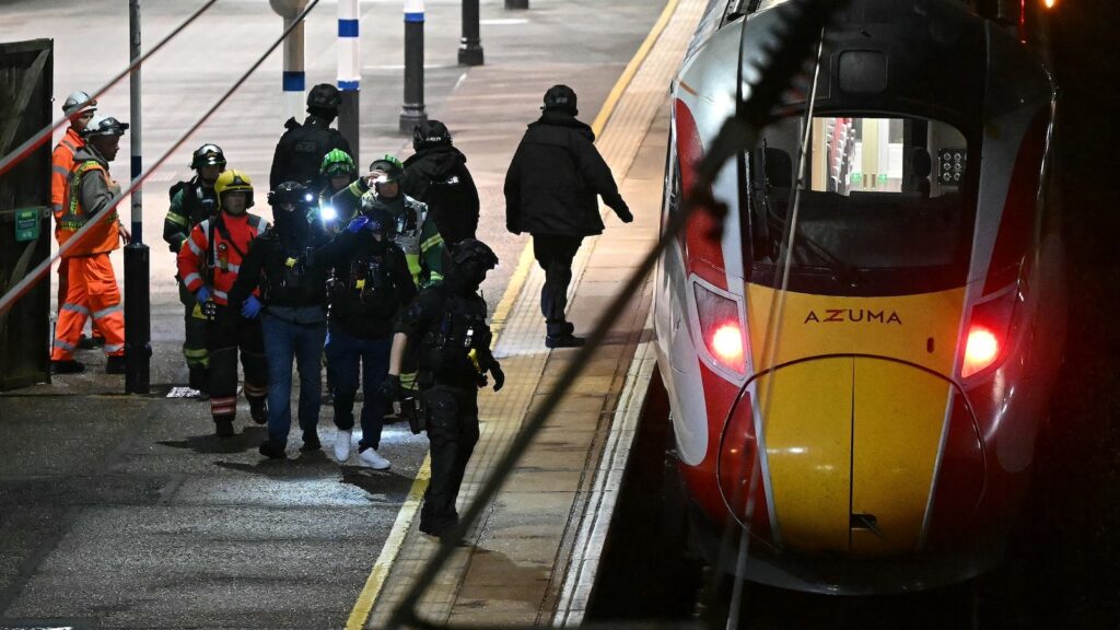 Multiple people stabbed on UK train: Police