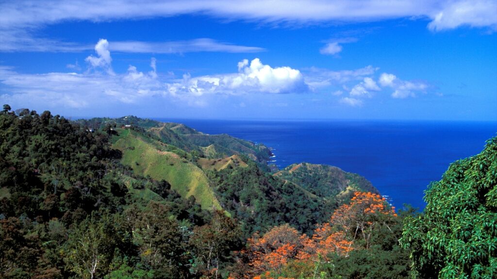 Police investigate after American man found fatally stabbed in Tobago