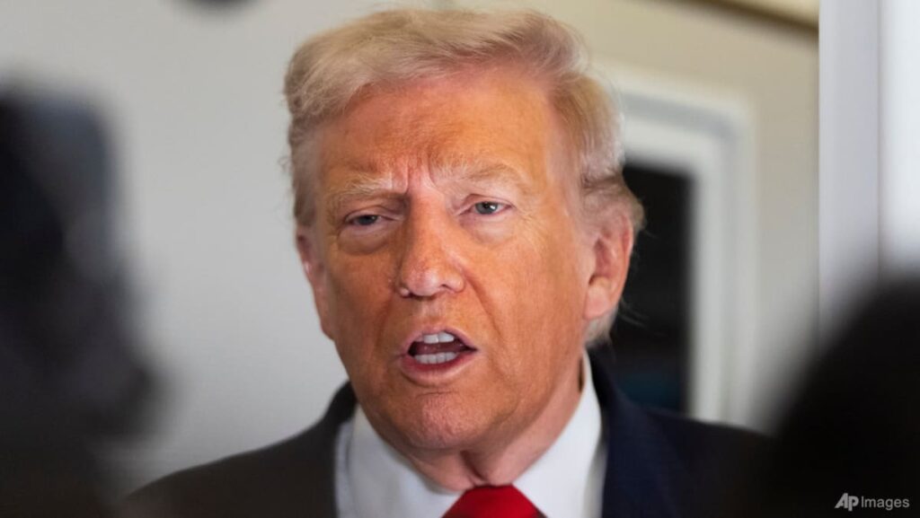 Trump says US immigration raids ‘haven’t gone far enough’