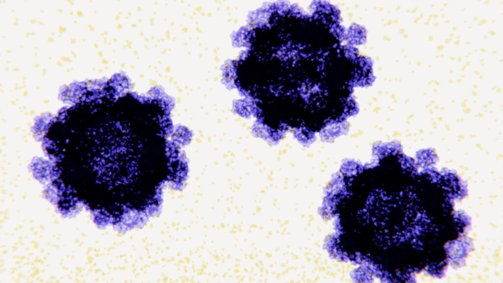 US cases of norovirus on the rise with double the rate of positive tests since August