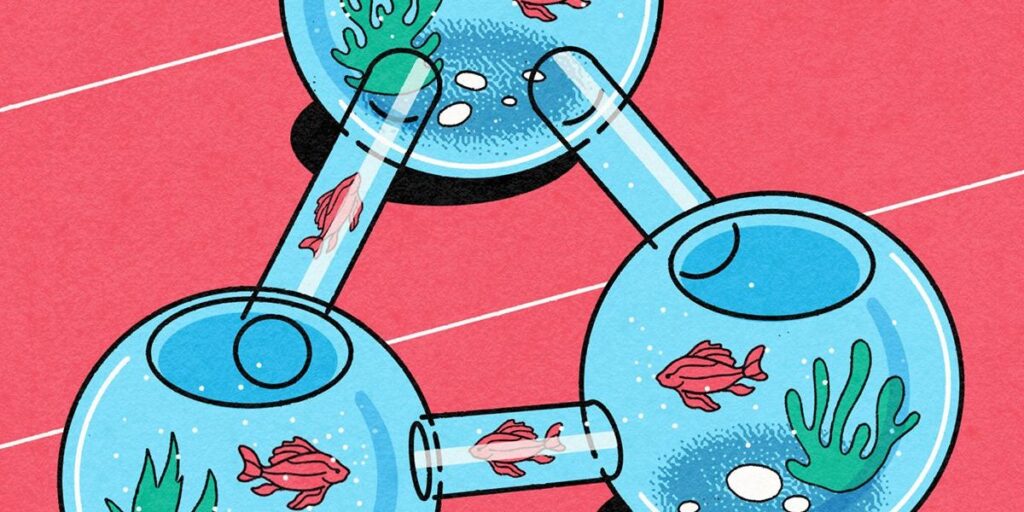 Wi-Fi 7 and Thread: A Mesh Network Harmony