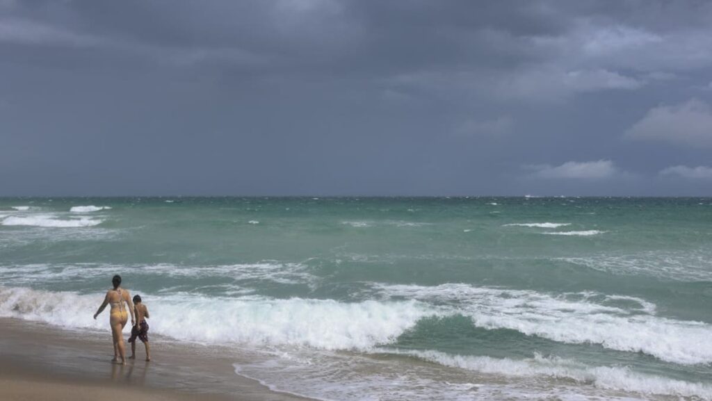 Experts say oceans soaked up record heat levels in 2025