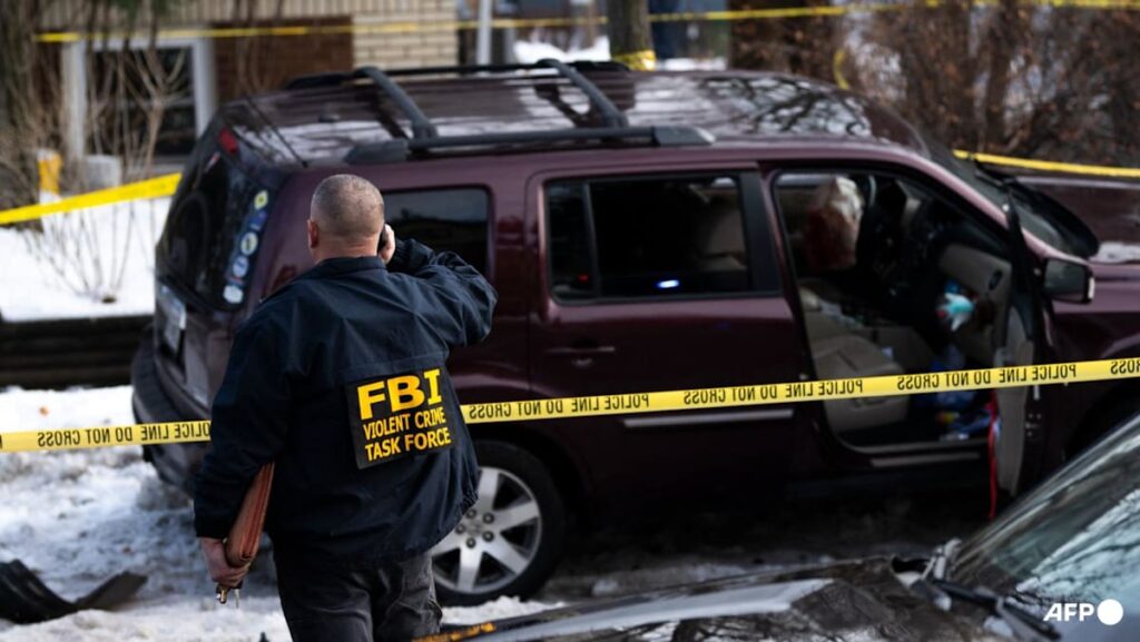 US immigration agent fatally shoots woman in Minneapolis, mayor disputes government claim of self-defence