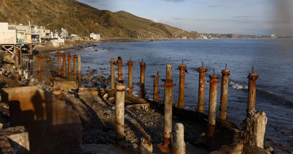 One year after L.A. fires, readers weigh in on the recovery