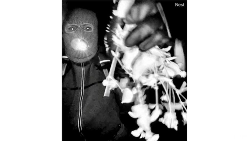 FBI: DNA recovered from glove near Guthrie home that appears to match suspect’s glove