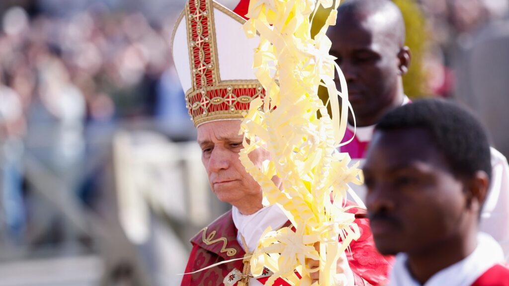 Pope Leo rejects claims that God justifies war during Palm Sunday Mass