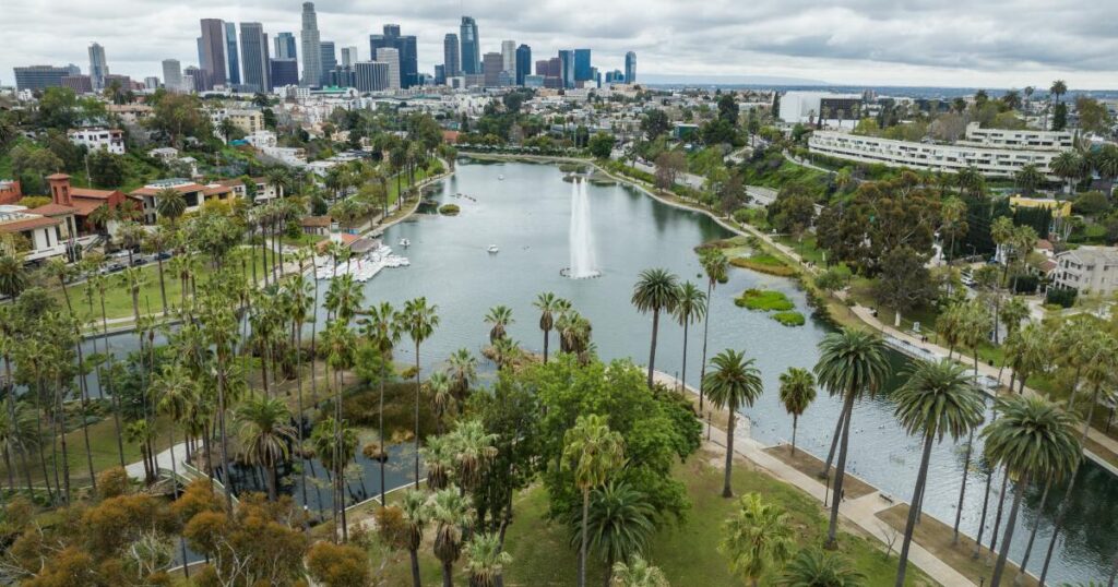 Contributor: My frustrations were global, but the solutions were local