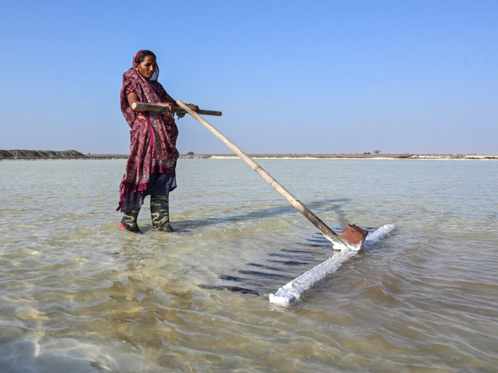 India’s salt workers brave brutal heat on Gujarat’s desert plains | Weather News
