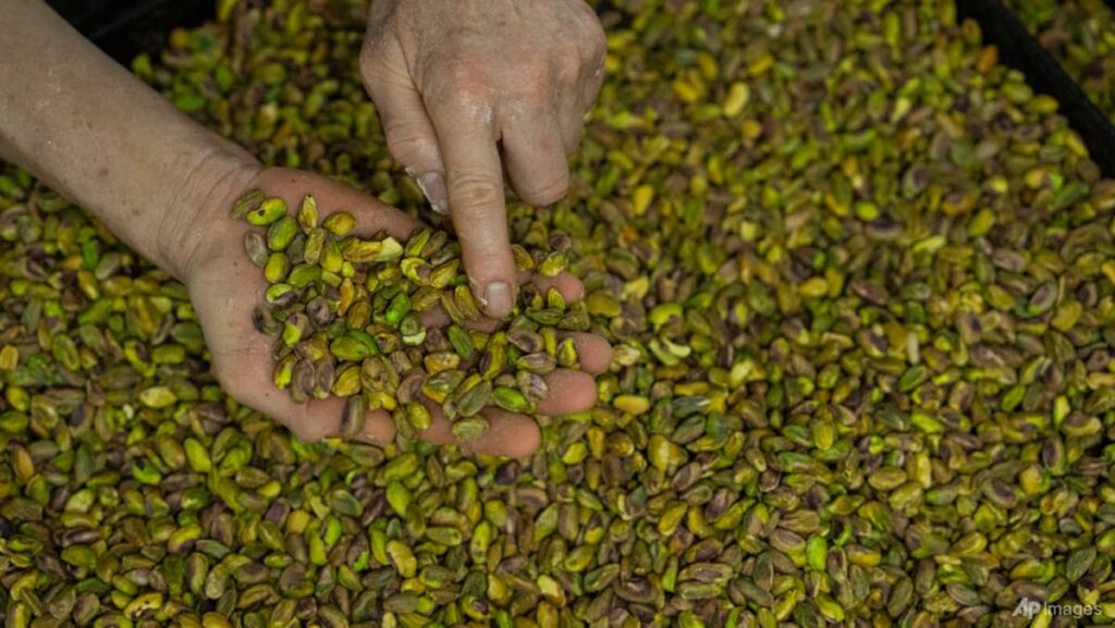 Commentary: Methanol, pistachios and cement – other Iranian exports choked by the war