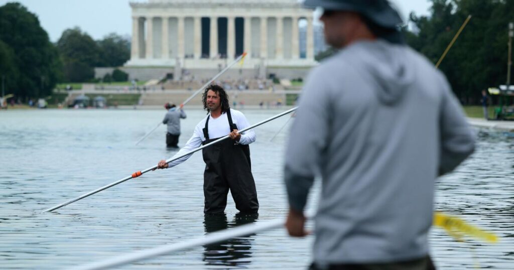 Contributor: Don’t blame algae for the Reflecting Pool mess