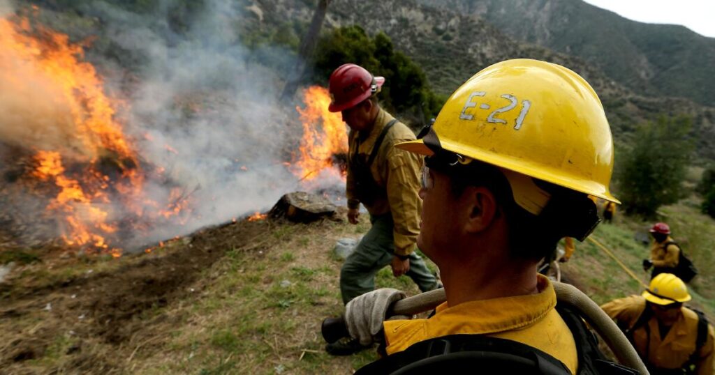 Contributor: The Forest Service is too important to be a political pawn