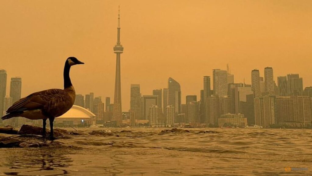 Hazardous wildfire smoke chokes millions in US, Canada