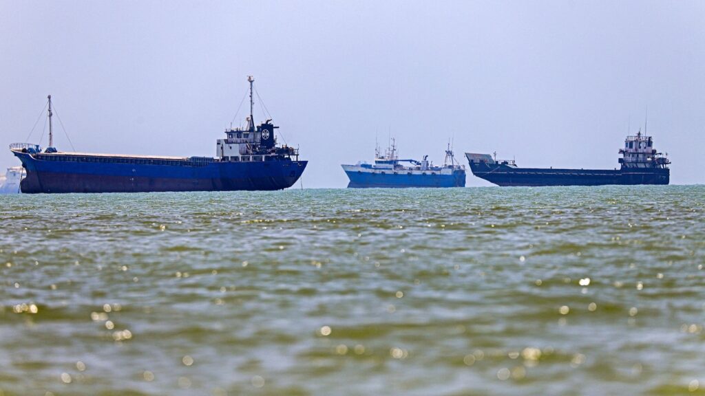 Scientists warn of possible invasive species superspreader event due to stalling near Strait of Hormuz