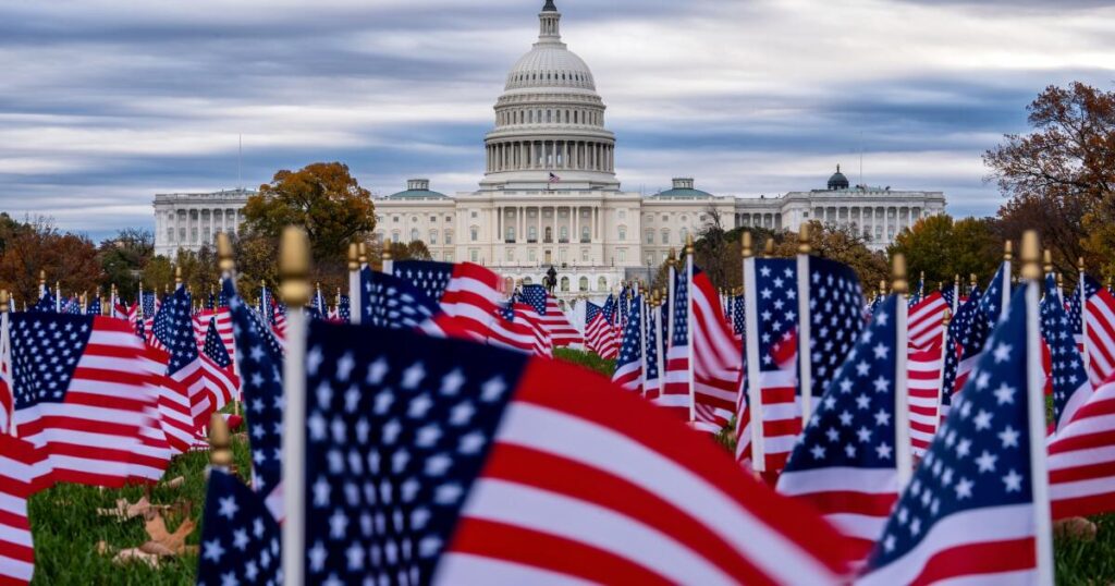 I fly the American flag because no political faction owns patriotism