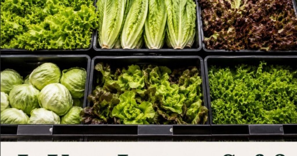 Is Your Lettuce Safe to Eat? Is Any of Your Produce Safe?