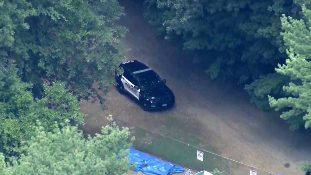 8-year-old boy dies after getting hit by falling tree at YMCA camp: Officials