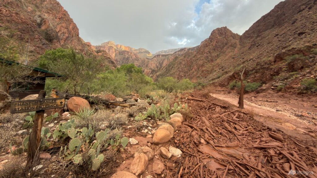 Dozens evacuated from Grand Canyon after flash flood hits creek leading to the Colorado River