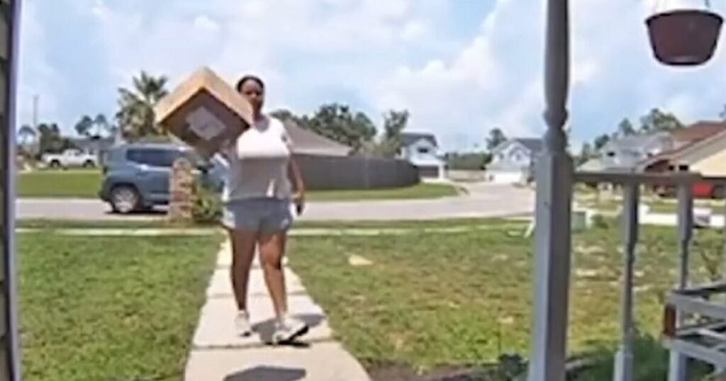 GOING VIRAL: Delivery Driver Carelessly Hurls Amazon Package Onto Porch (VIDEO)