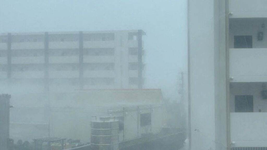 Typhoon Dolphin hurtles towards Japan: Tracker, updates and what to expect | Environment News