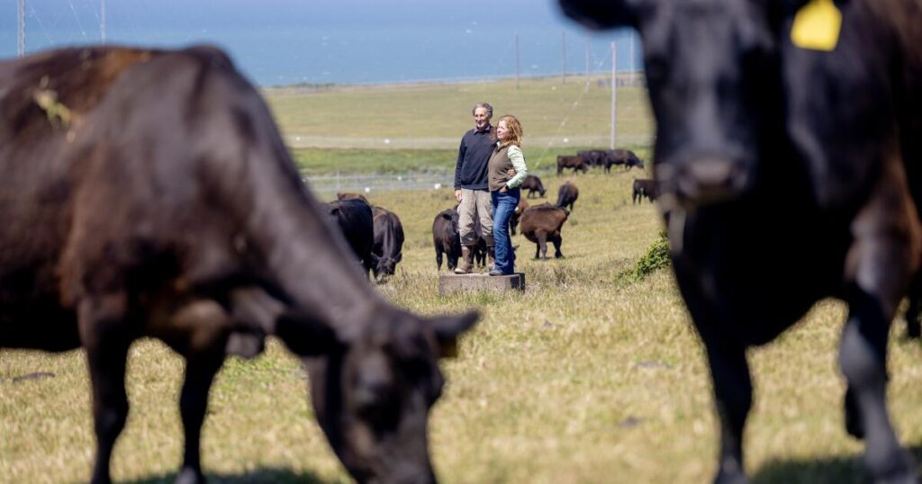 Ranchers, farmers and environmentalists can all work together