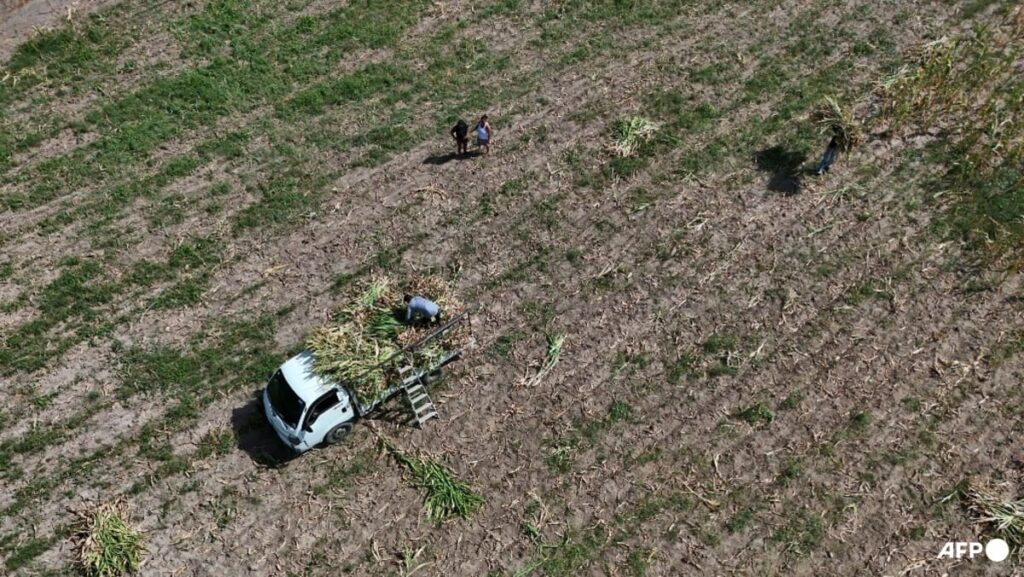 El Nino to be ‘very strong’, last until February, UN warns