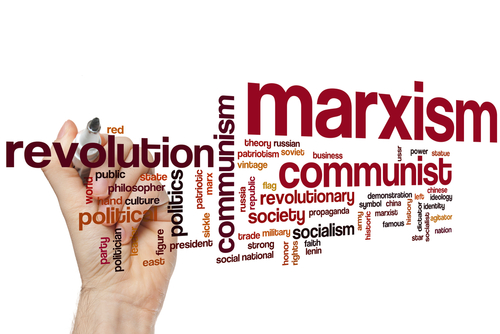 Economic Illiteracy Is No Barrier To Public Office