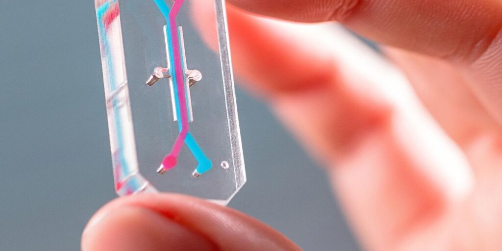 Alternatives to Animal Testing Are Finally Taking Off