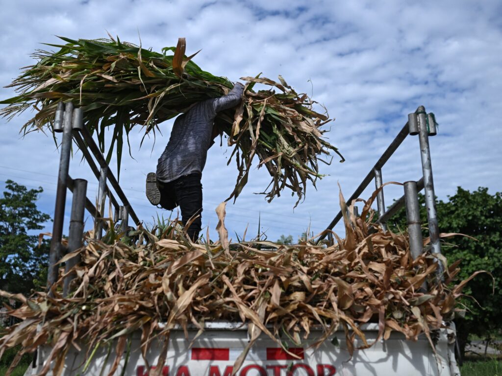 El Nino: A phenomenon supercharged by climate change | Environment News