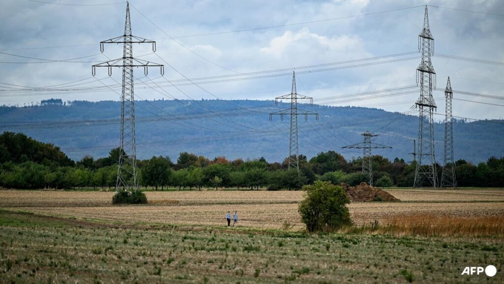 Explosives used in sabotage attack on German power lines