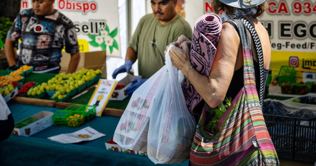 Consumers are the ones who pay for the plastic industry’s status quo