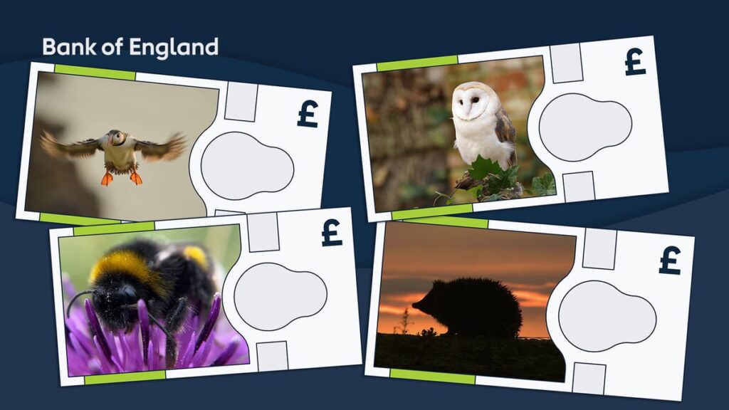 Bank of England reveals which animals will feature on its next banknotes series
