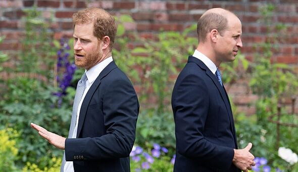 Prince William Wary of Harry Reconciliation Fallout