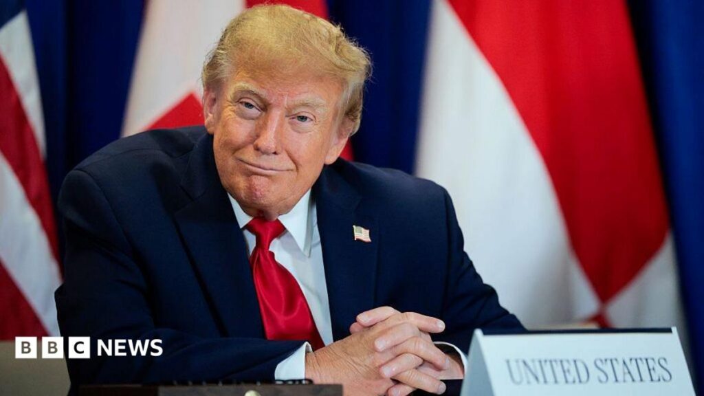 Trump’s AI rebrand causes ‘unprecedented’ demand for Slovenian website names