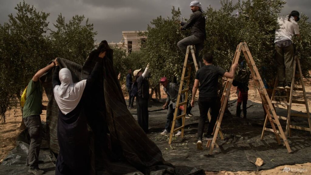 Israeli settlers attack European diplomats, beat French mayor