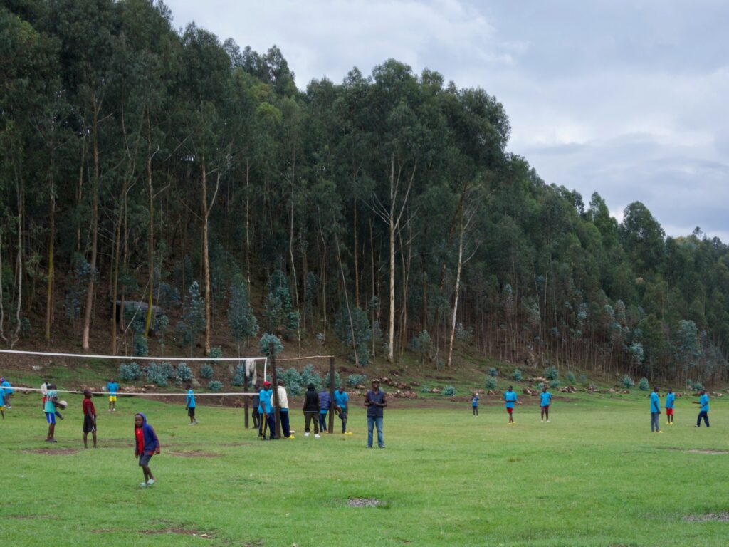 Why former FDLR fighters are returning to Rwanda | News