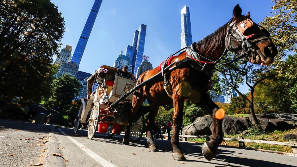New York City to ban horse-drawn carriages in 2028