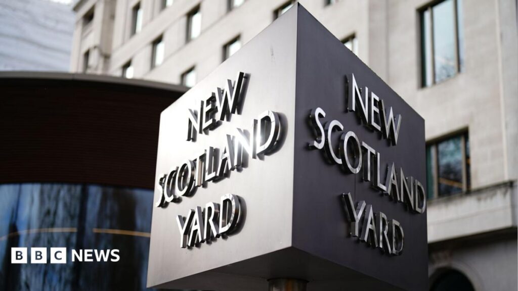 No further action against government adviser’s wife over Palestine Action post, police say