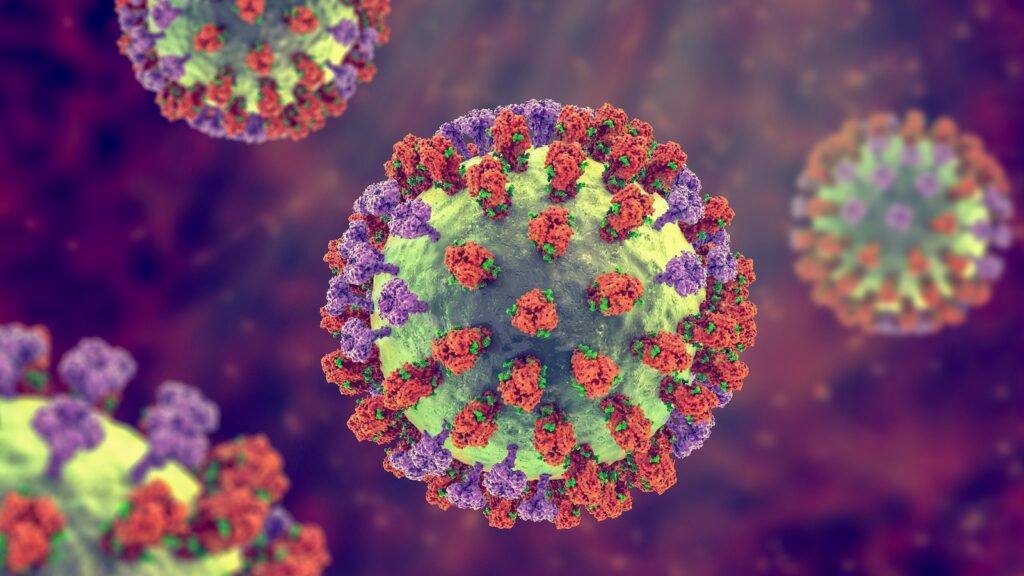 San Francisco records 1st flu-related death this season