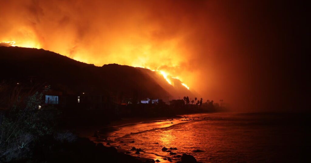 Contributor: Charge wildfire arsonists with cruelty to animals